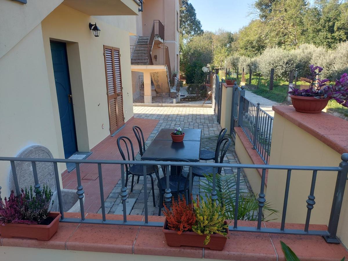 San Rocco - La Vite *